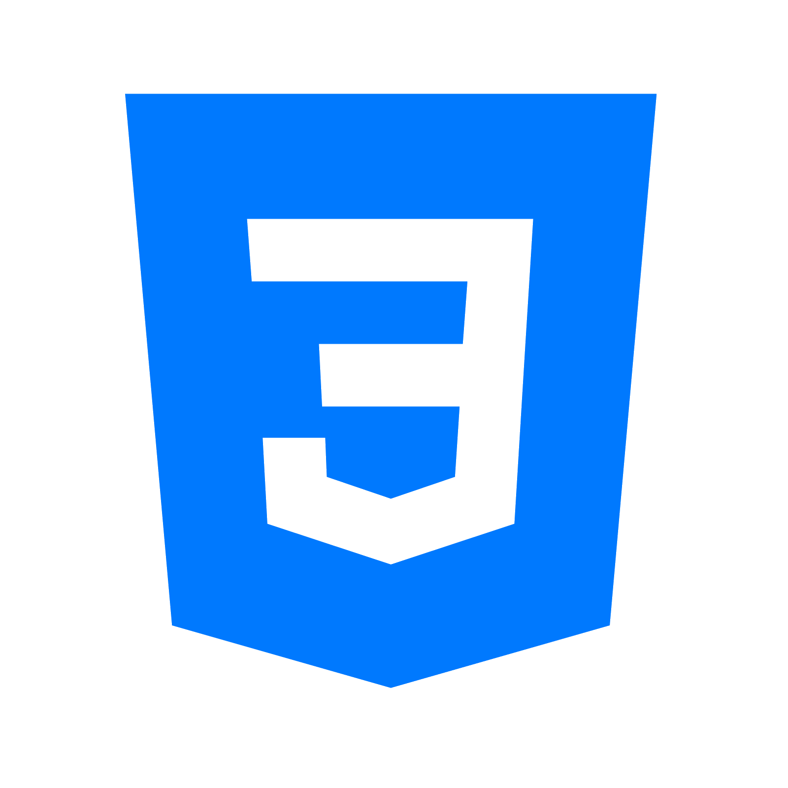 CSS Logo